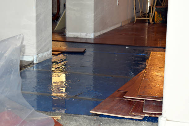 Professional Water Damage Restoration technician working in Woody, CA